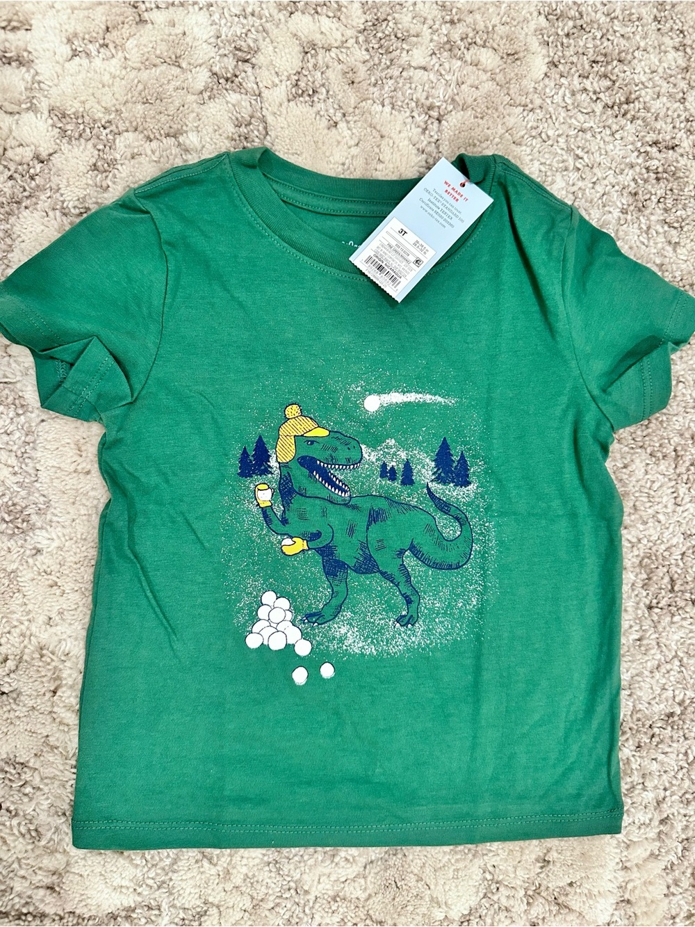 Kids Green Dino Graphic Tee Size 3T Toddler Cozy Winter Design